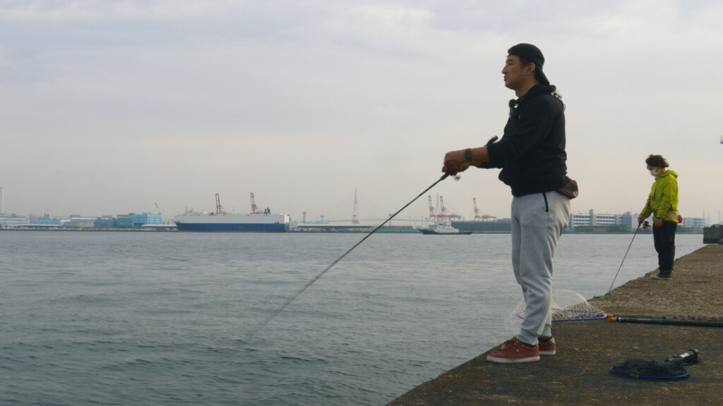 横浜でもアオリイカが釣れた シリヤケイカを狙いつつエギングを楽しむ方法 ベイトだけで イイかもね