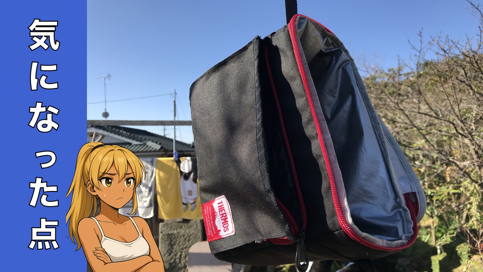 サーモスソフトクーラーの気になった点