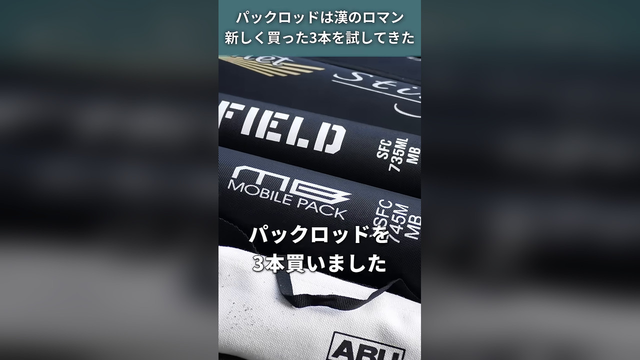 2025年、パックロッドを3本買いました。パックロッドは漢のロマンなんです